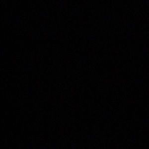 Meet your Posher, Lacey